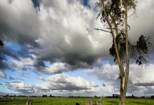 九游网站入口-法国青年球员在本赛季国际友谊赛中崭露头角