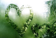 欢迎在宝塔面板安装Z-BlogPHP!