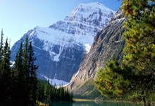 欢迎在宝塔面板安装Z-BlogPHP!